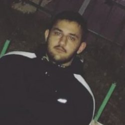 Zaur