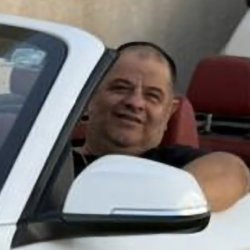 אלון
