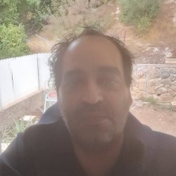 דור