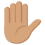 :raised_hand_tone3: